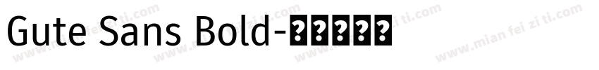 Gute Sans Bold字体转换